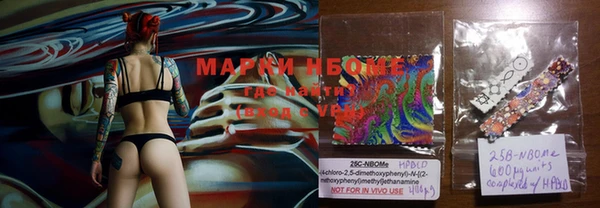ECSTASY Строитель