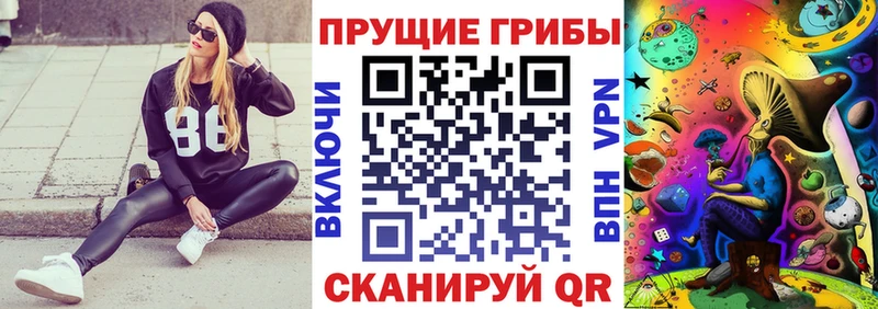 Псилоцибиновые грибы мицелий  Шенкурск 